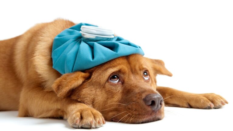 7 Easy Ways to Cure Headaches Naturally