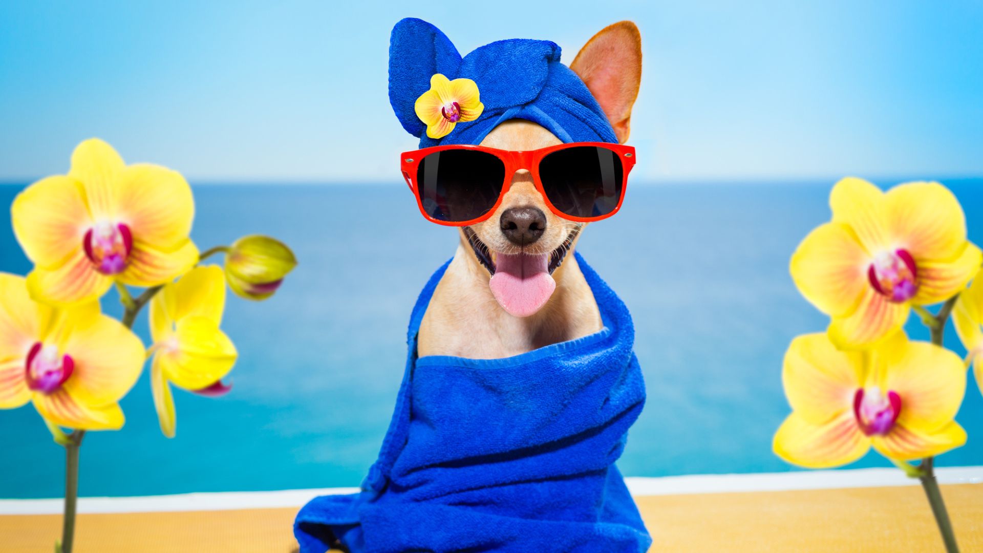 beauty secrets and hacks for women over 50