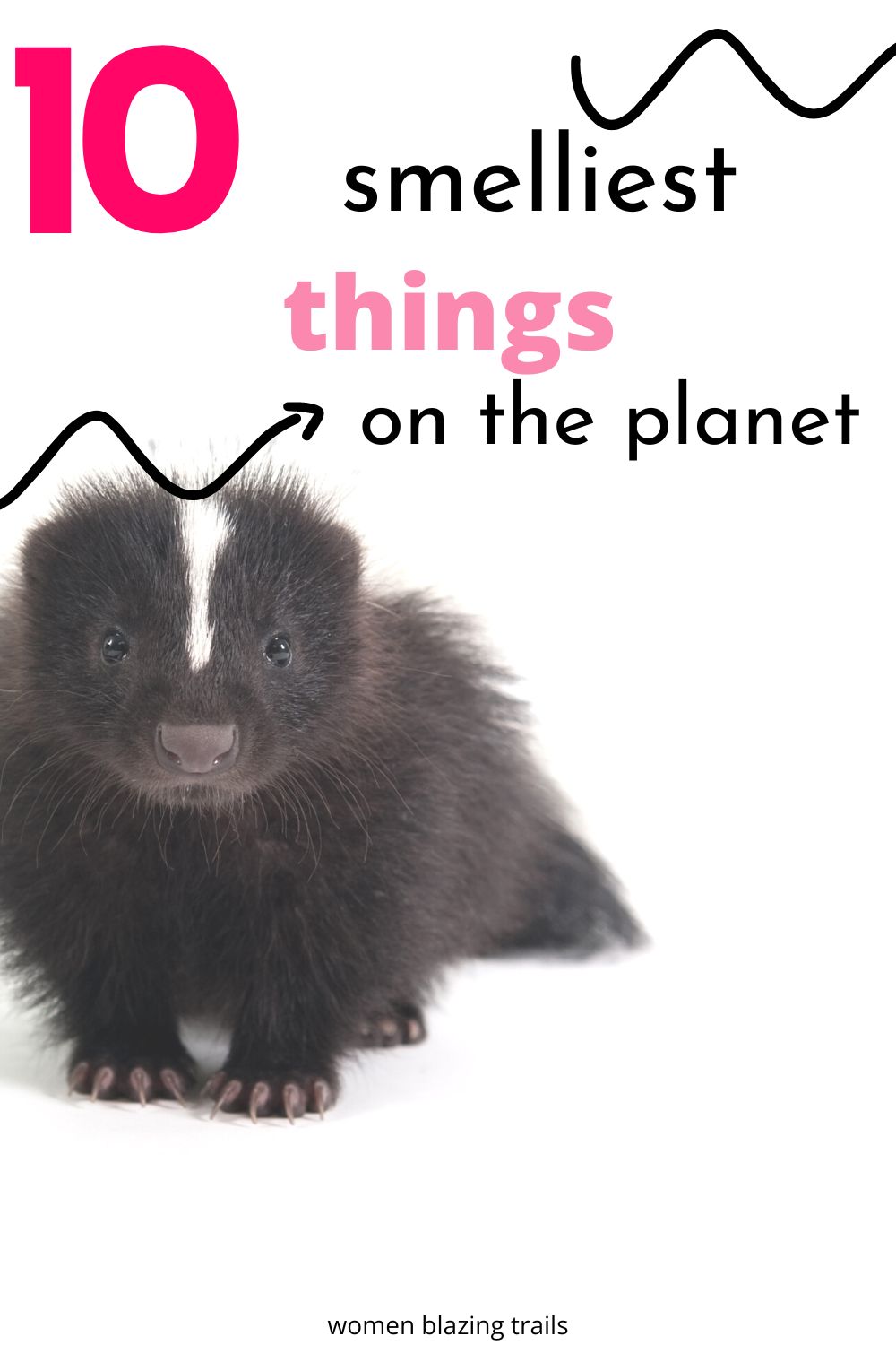 10 Smelliest Things on the That Will Make You Gag Women