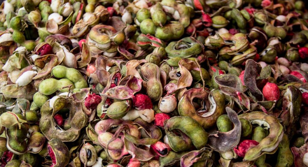 healthiest fruits, guamuchil