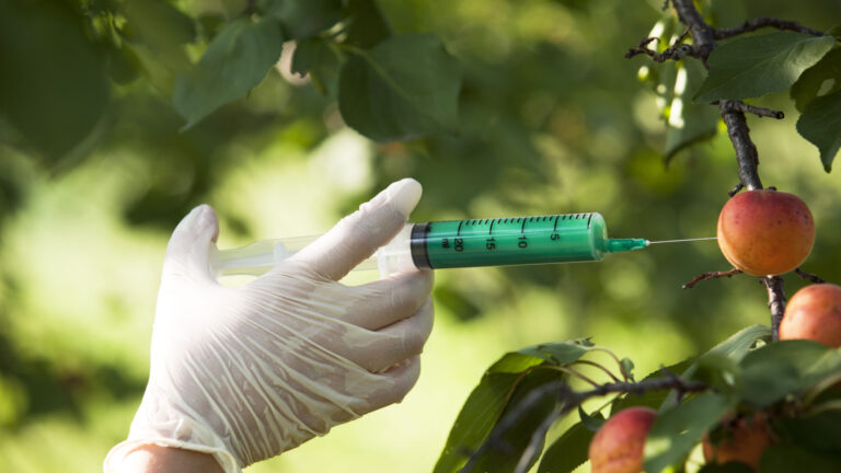 Are Organic Foods Really Better? 15 Surprising Facts You Should Know