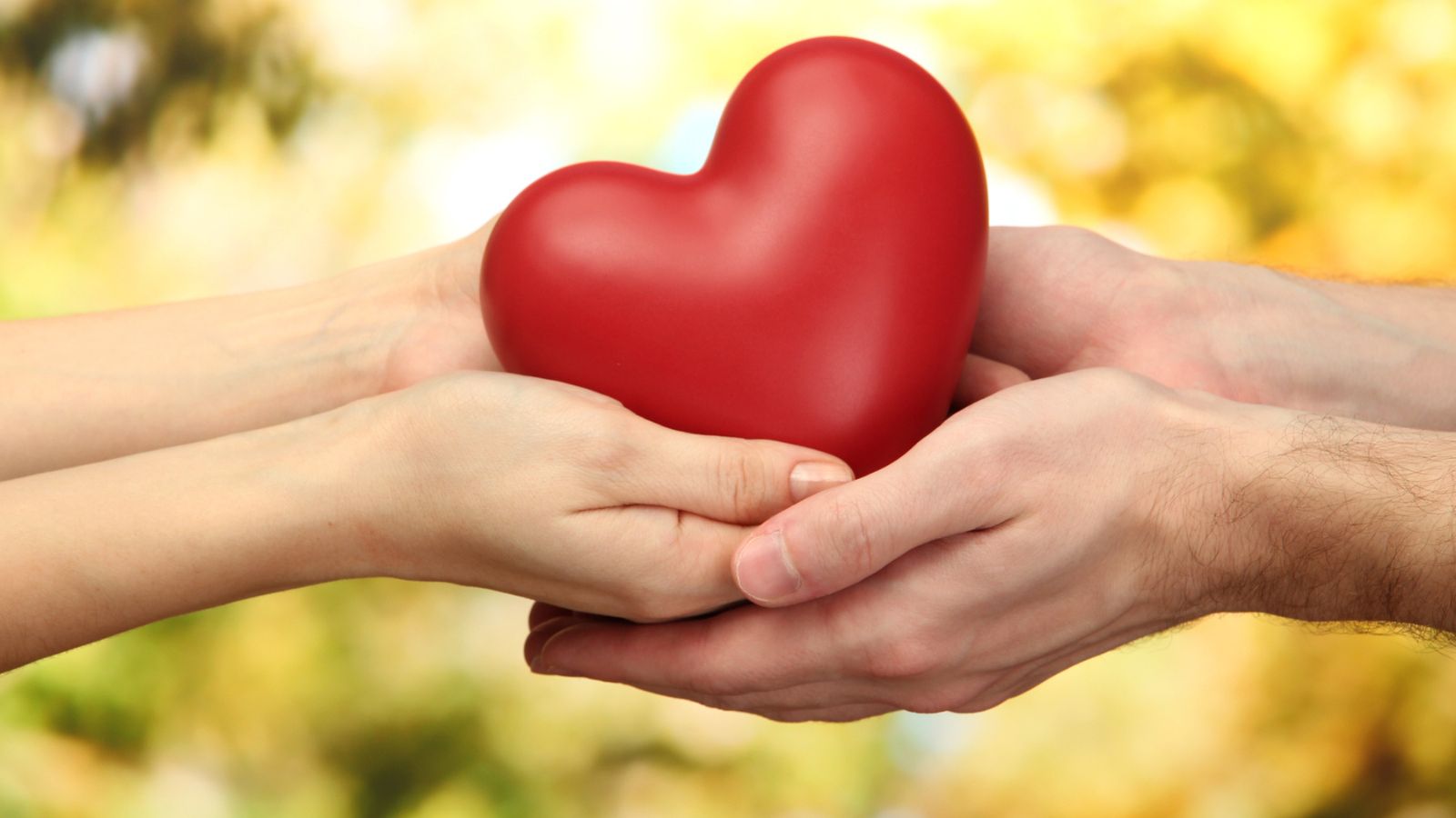 hearts, love