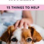 Pinterest Hidden Image