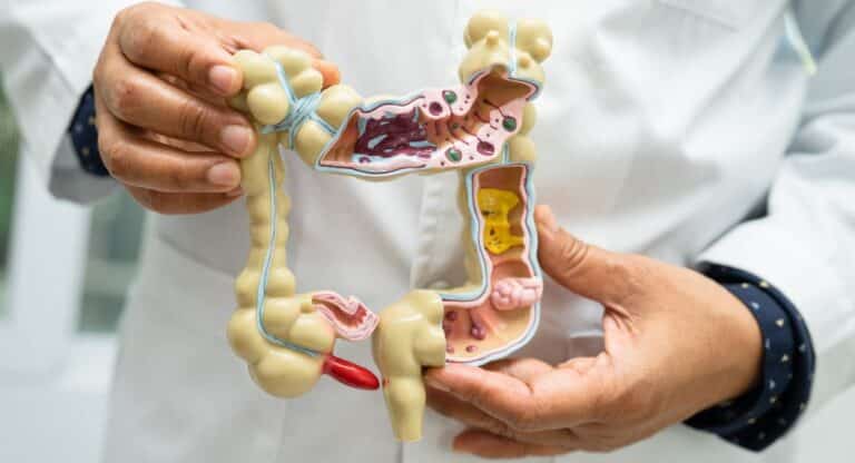 Why 45% of Americans Are Obsessed With Their Gut Health (7-Day Meal Plan Included)