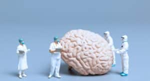 bad habits to stop doctors looking at brain