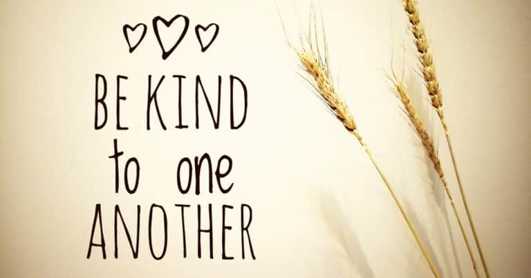 75 Kindness Quotes to Remind Us That Good Still Exists